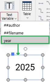 Inserting a text variable from the Text Variable split button menu onto a page