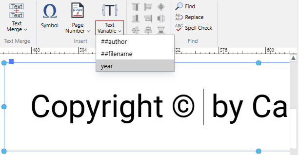 The year text variable on the Text Variable split button menu