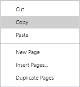 Copy Command from the Page Context-sensitive Menu