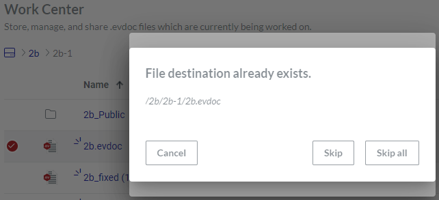 File Destination Already Exists Error Message