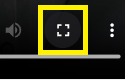 Full Screen Button in the Video Player Embedded in the Viewer