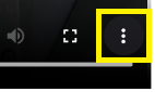 More Options Button in the Video Player Embedded in the Viewer