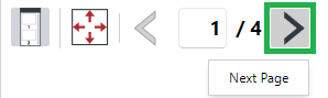 Next Page Button on the Viewer's toolbar