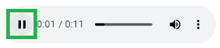 Pause Button in the Audio Player Embedded in the Viewer