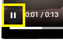 Pause Button in the Video Player Embedded in the Viewer