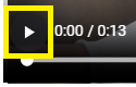 Play Button in the Video Player Embedded in the Viewer