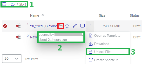 Unlock File Action Menu Button