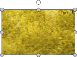 Source Vector Object for Copying with the Format Painter