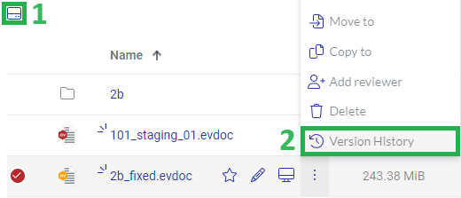 Version History Action Menu Button
