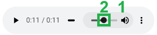 Clicking on the Volume Slider Bar in the Audio Player Embedded in the Viewer