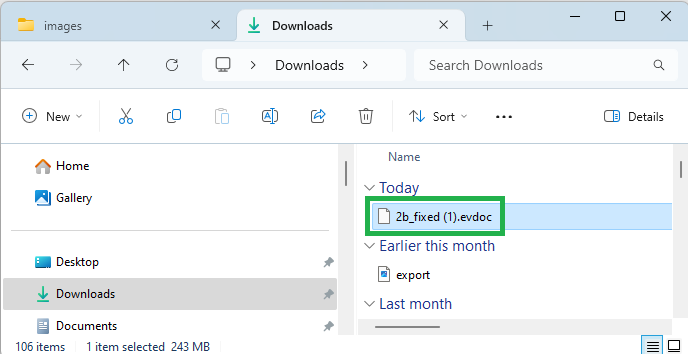 Downloaded File