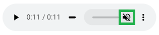 Muted Volume Button in the Audio Player Embedded in the Viewer