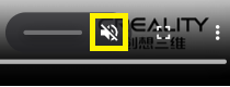 Muted Volume Button in the Video Player Embedded in the Viewer