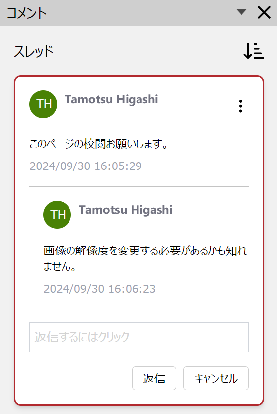 Comments Pane